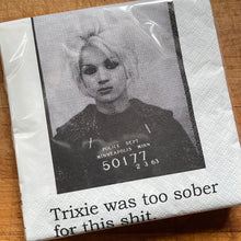 Load image into Gallery viewer, Set of 20 cocktail napkins