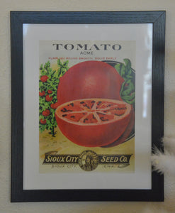 Tomato Print, Sioux City Seed Co. Art
